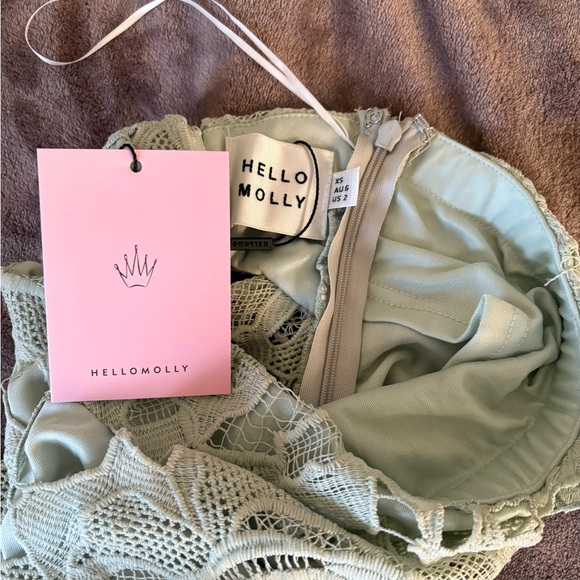 Hello Molly Floral Lace Midi Dress in Light Green - Picture 3 of 4